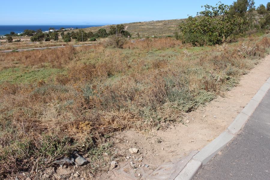 0 Bedroom Property for Sale in Steenbergs Cove Western Cape